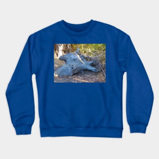 Perspective Crewneck Sweatshirt